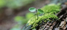 EAP For Employees - Benefits