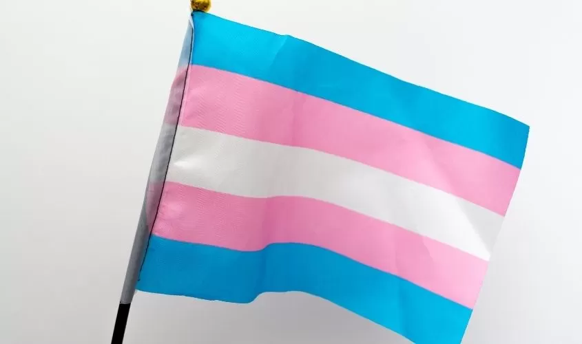 Trans Flag