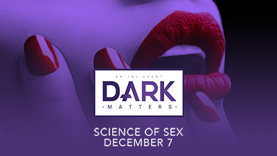 insight presents at dark matters