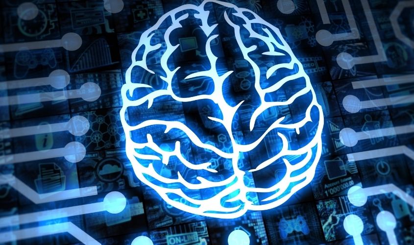 Brain