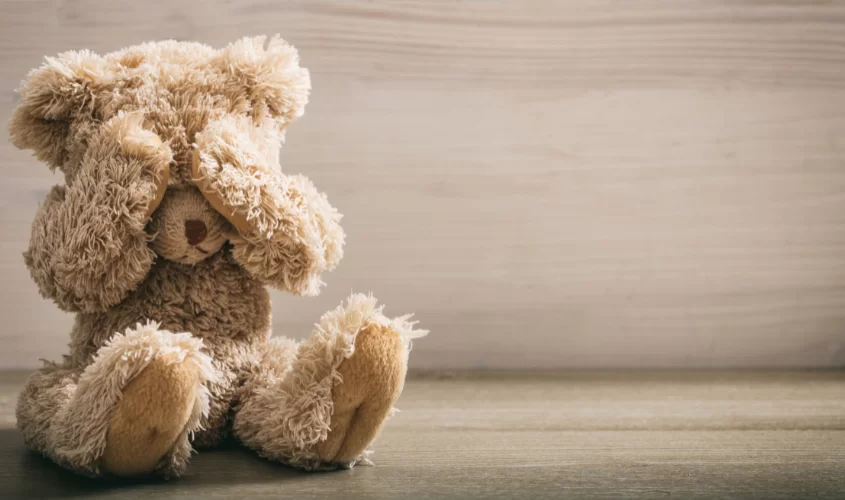 light brown teddy bear