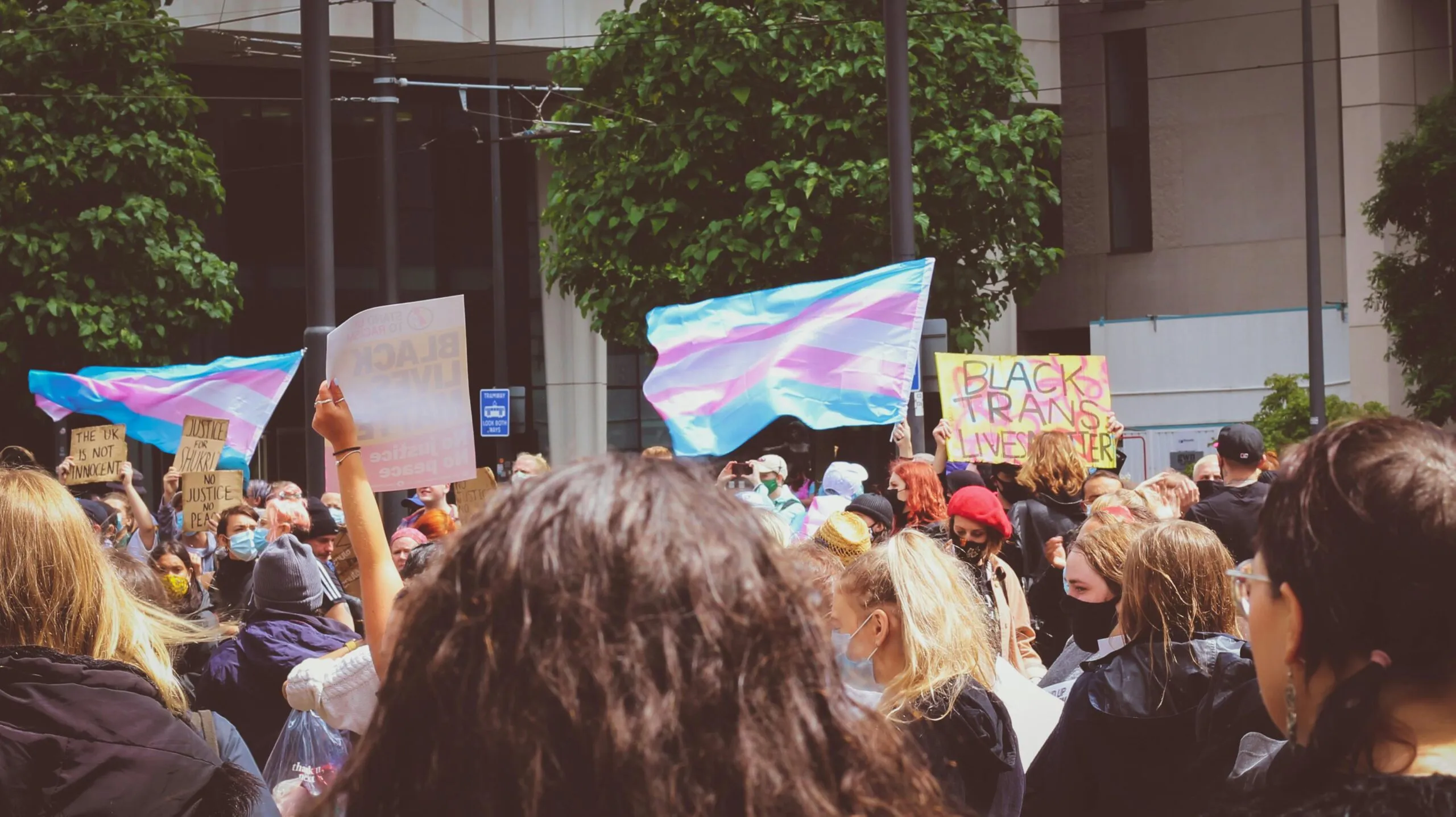Crowd at a protest holding transgender pride flags and inclusive signs.